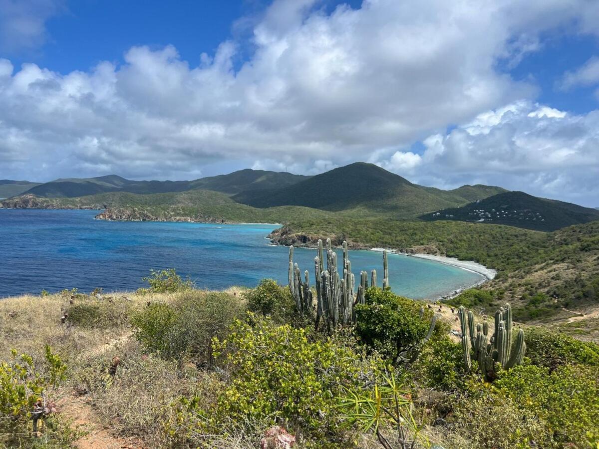 Blue Pearl Villa In St John Usvi Coral Bay Exterior foto